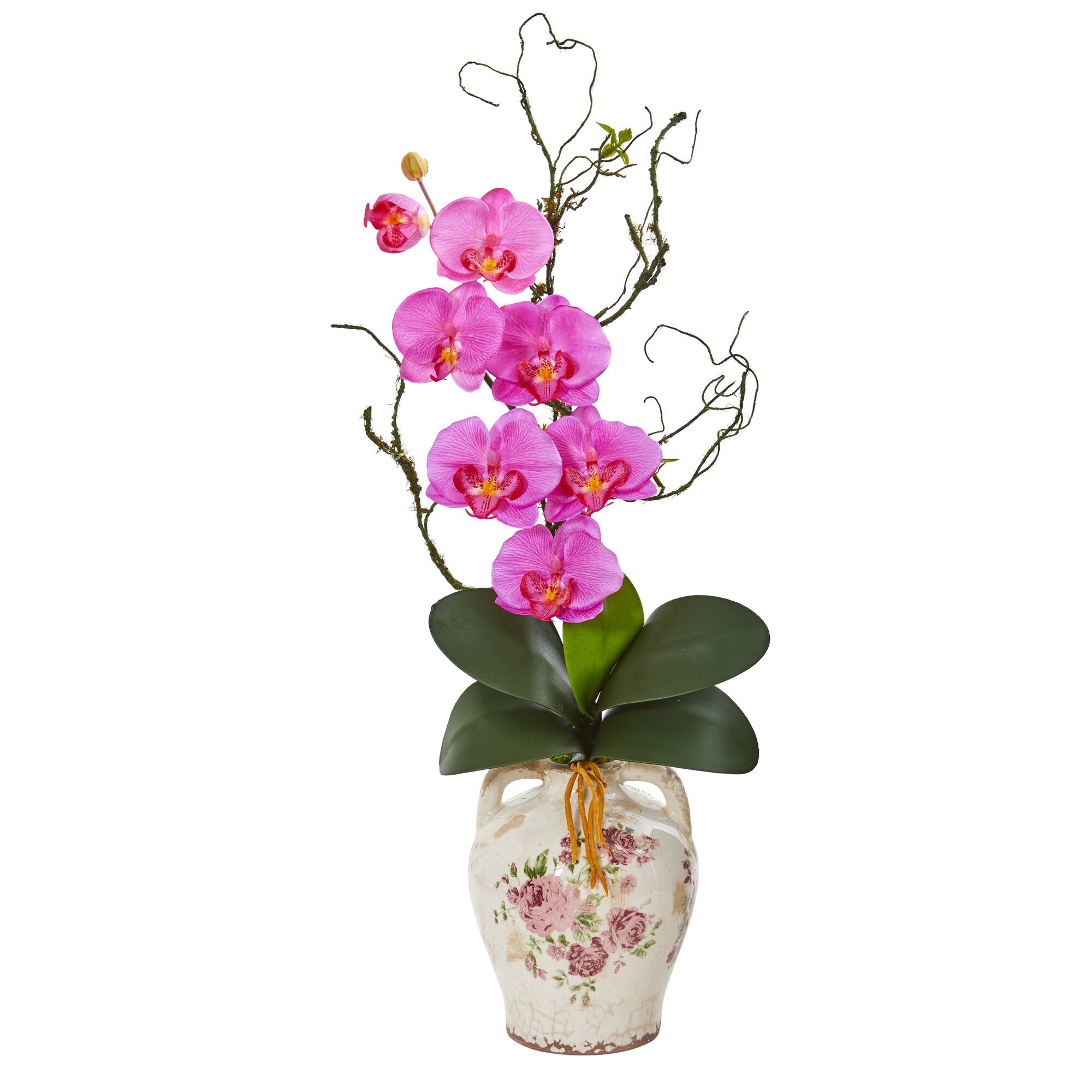 2.5ft. Moth Orchid & Twig Arrangement in Floral Jar